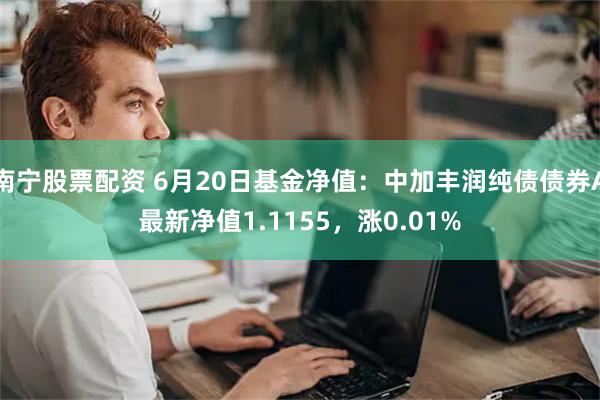 南宁股票配资 6月20日基金净值：中加丰润纯债债券A最新净值1.1155，涨0.01%