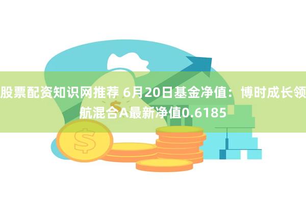 股票配资知识网推荐 6月20日基金净值：博时成长领航混合A最新净值0.6185