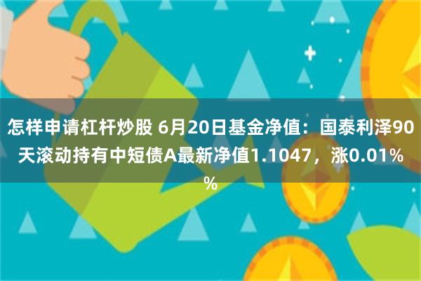 怎样申请杠杆炒股 6月20日基金净值：国泰利泽90天滚动持有中短债A最新净值1.1047，涨0.01%