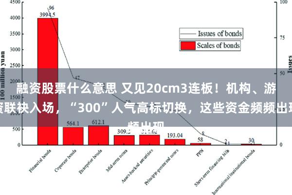 融资股票什么意思 又见20cm3连板！机构、游资联袂入场，“300”人气高标切换，这些资金频频出现